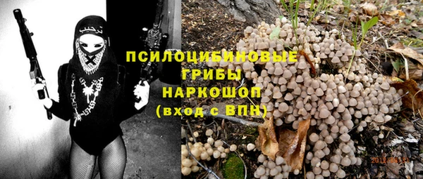 2c-b Бородино