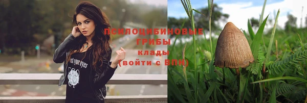 гидра Богородск