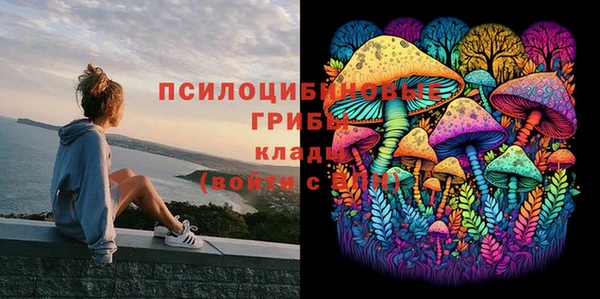 а пвп мука Богданович