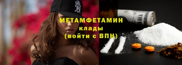 гидра Богородск