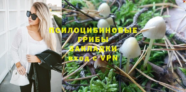 COCAINE Богородицк
