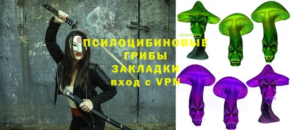 COCAINE Богородицк