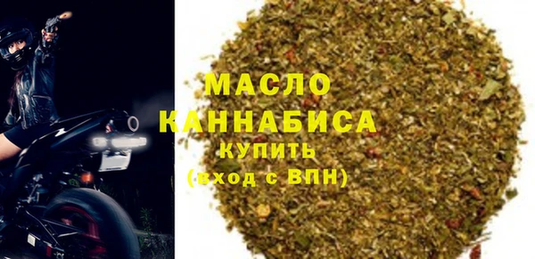 гидра Богородск