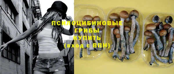 гидра Богородск