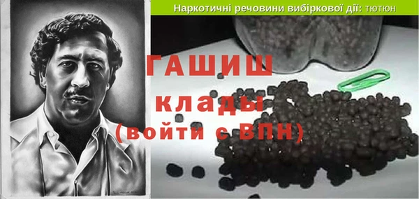 гидра Богородск