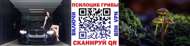 Галлюциногенные грибы Psilocybine cubensis  Купить где  Нижнекамск 